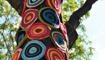upcycling, tree, crochet, art, tree decoration, festival, street art, handwork, nature, crochet guerrilla, wool, multicoloured, homemade